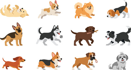 Cute Cartoon Dog Breeds Icon Set Featuring Golden Retriever, German Shepherd, Siberian Husky, Corgi, Beagle, French Bulldog, and Pomeranian Vector Illustration © Fahim