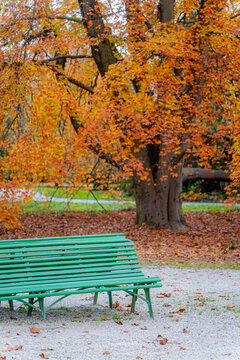 Autumn park bench under colorful trees in Geneva, Switzerland