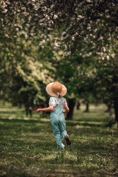 Girl in straw hat walking under blooming spring trees