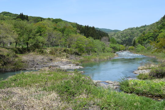 雪解け水 早春の渓流