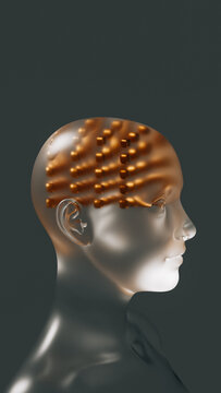 Understanding finance with technology using glass brain model
