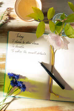 Mindful journaling with herbal tea in sunlit garden
