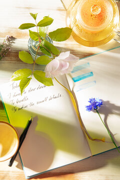 Mindful journaling ritual with herbal tea in sunlight