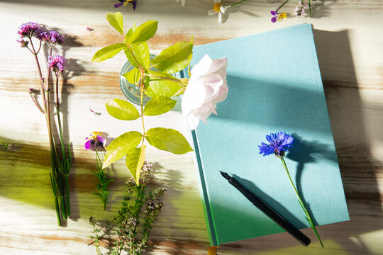 Outdoor journaling ritual with notebook, pen, and flower