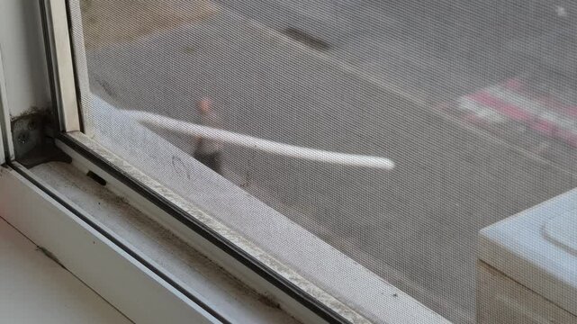 A close-up reveals a dusty mosquito screen attached to a window frame. Through the dirty mesh indistinct shapes of a cyclist and cars move on the street in a blurry background.