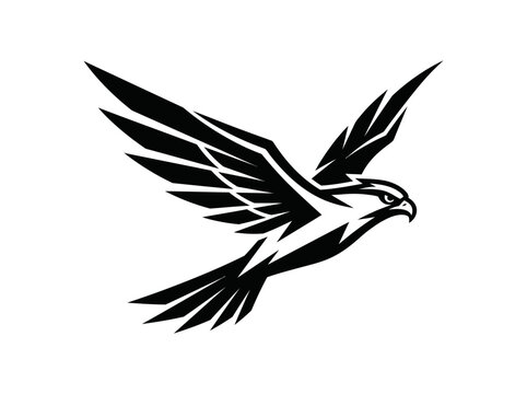 Flying hawk bird of prey line art.