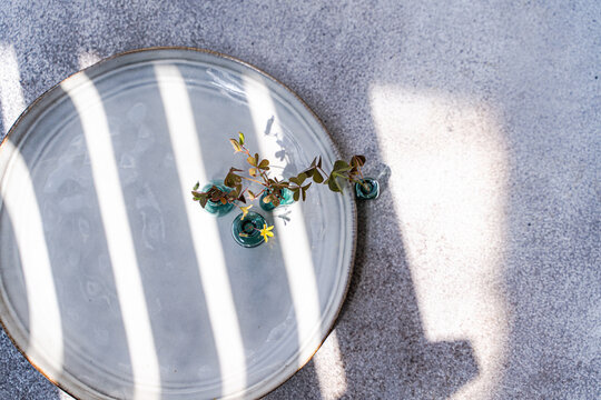 Yellow woodsorrel in glass vase with window shadows