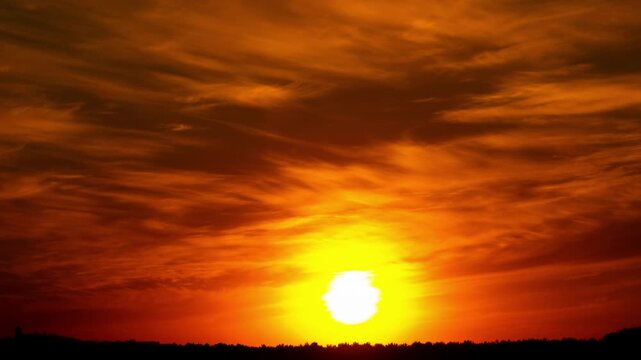 Close-up time-lapse of the sun disappearing below the tree line with an intense orange glow. A single raven silhouette flies across the bright solar disc during twilight.