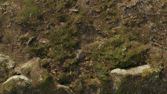 Seamless forest floor texture with moss, rocks and natural woodland ground