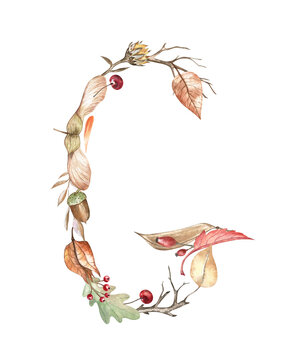 Alphabet botanical letter G created from the autumn leaves, maple seeds, berries, acorn, and twigs. Watercolor hand-drawn art on transparent background. For preschool projects, monograms, books