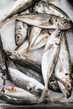 Fresh fish on ice at a local market stall