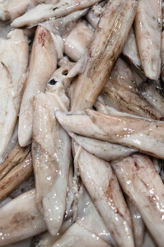 Fresh seafood at local fish market promoting sustainability