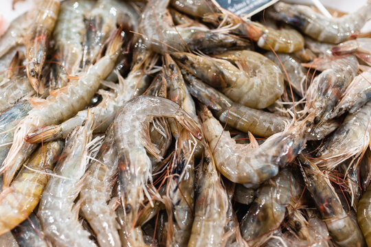 Fresh shrimp at a lively local fish market