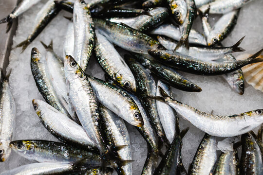Fresh fish on display at a bustling local market