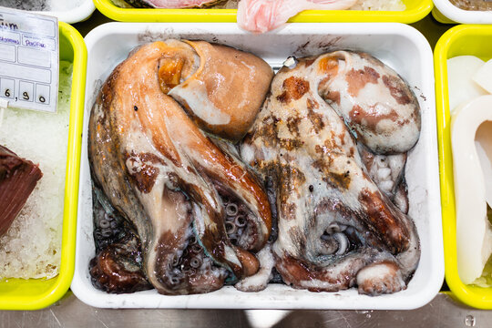 Fresh octopus at a Lisbon fish market