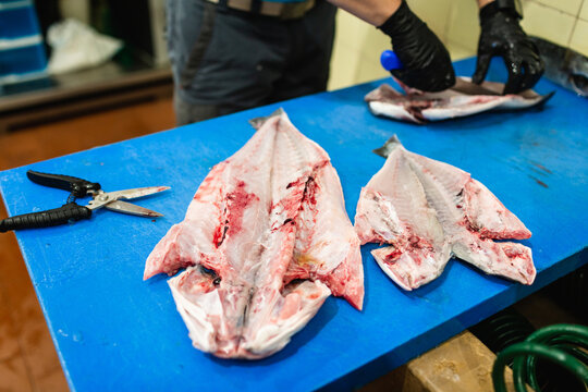 Local fishmonger preparing fresh catch at Lisbon market