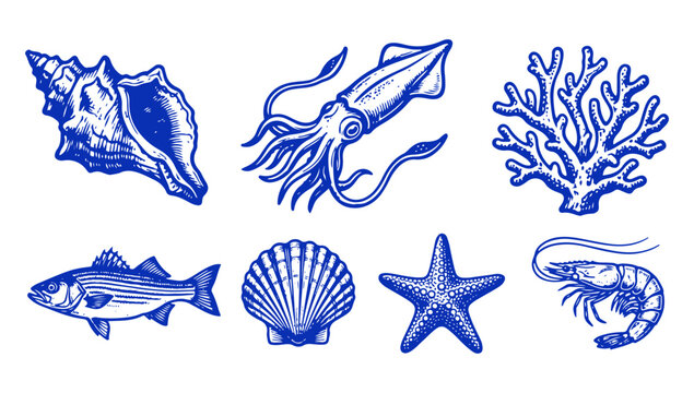 Rustic wood stamp seafood and ocean elements illustrations set with squid, fish, shell, starfish, and shrimp