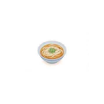 Kake Udon Noodle Bowl