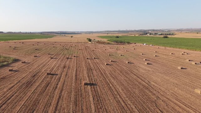 Aerial view of harvested agricultural fields with hay bales under clear sky, showcasing rural landscape, sustainable farming, crop production, countryside, agriculture in Israel and seasonal harvest