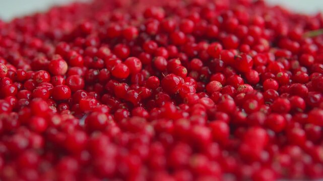 Close-up of fresh red lingonberries moving on a surface. Organic wild berries background for vitamin-rich food concepts