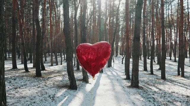 A red foil heart balloon floats in a snowy pine forest illuminated by bright warm backlight. Concept of romantic love, Valentine's Day celebration, and festive surprise in winter nature.