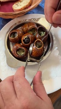 Eating traditional French escargots snails with garlic butter in a restaurant