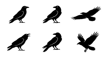 Fototapeta premium Black Raven Silhouettes, Bird Icons Set, Flying and Perching Crows