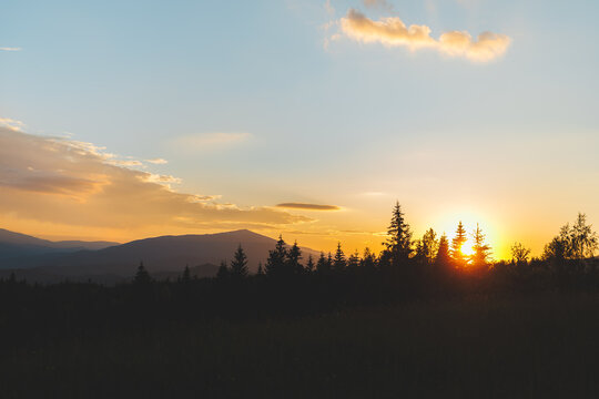 Beautiful sunset over the Carpathian mountains with sun rising or setting behind pine trees.