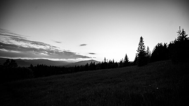 Beautiful mountain landscape at sunset with silhouette of large pine tree.