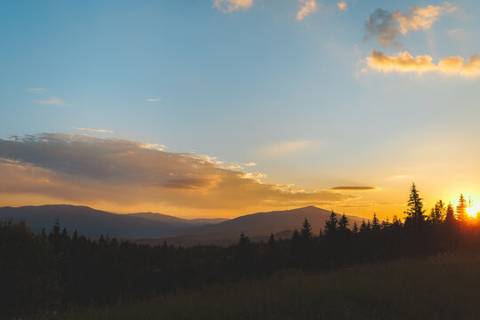 Beautiful sunset over the Carpathian mountains with sun rising or setting behind pine trees.
