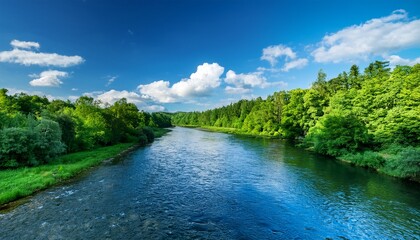 Fototapeta premium Serene River Flowing Through Lush Green Forest Under Blue Sky