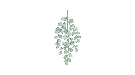 A sprig of eucalyptus leaves hangs from a stem in a natural setting © Senolim