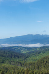 Fototapeta premium Scenic panoramic view of Carpathian mountains with foggy valley in morning light.