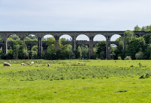 Historic viaduct with narrowboat canal boat on aqueduct arches stretching across a verdant landscape in Ceiriog valley in Chirk, Shropshire