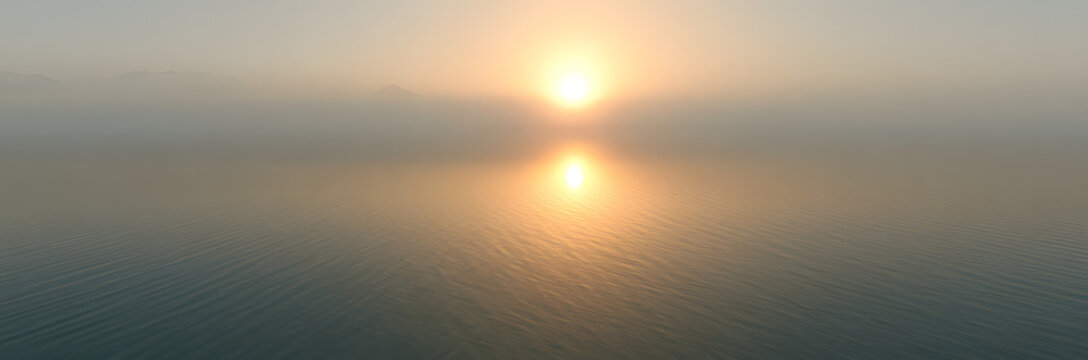 Schauwvogel aan de Zee met Nebel - Panorama