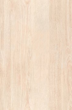 Light wood seamless texture background. Natural wooden tileable woodgrain pattern.