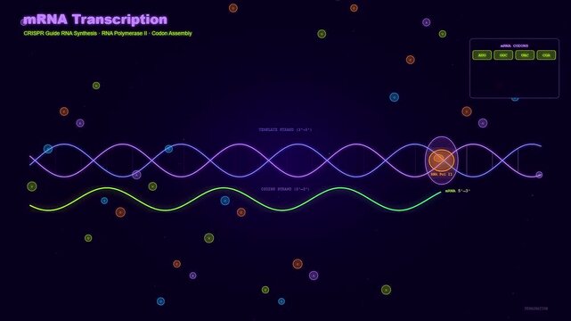 A detailed biological motion graphic illustrates CRISPR Gene Therapy principles through the synthesis of messenger RNA as a polymerase enzyme traverses the genetic code