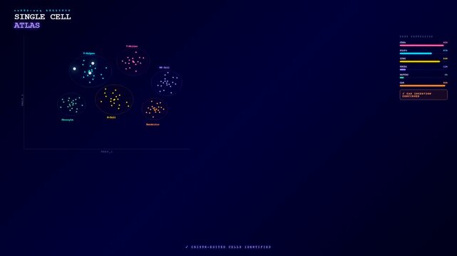 The process of CRISPR Gene Therapy is visualized through a complex digital interface showing single cell sequencing and identification of edited clusters during analysis.