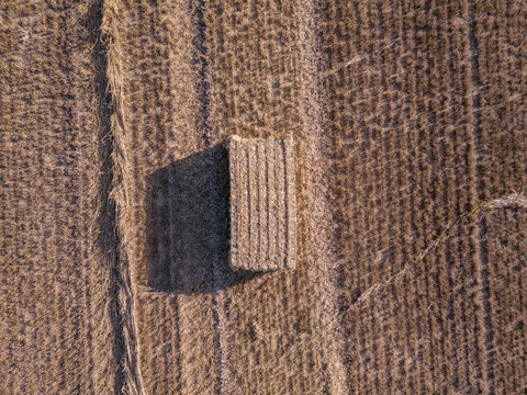 Aerial view of baling hay on a summer evening at Lanreath farm near Looe Cornwall