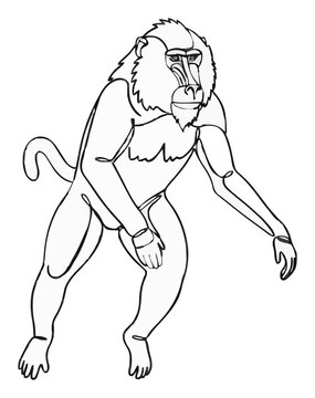 Mandrill baboon jumping front view minimalist line art. Generative AI