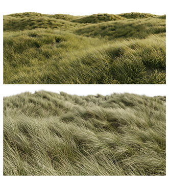 Lush green field of blowing grass dunes isolated on a solid black background isolated on transparent background