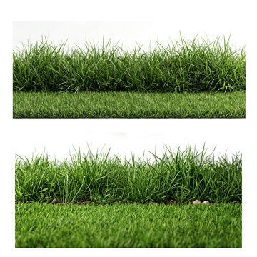 Lush green grass patches with various heights isolated on a solid black background isolated on transparent background