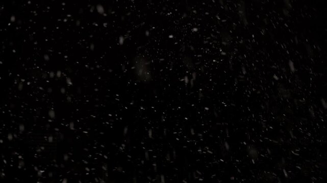 Unique snowflakes dance freely through the air in a mesmerizing snowstorm, creating a stunning contrast against the deep black sky, inviting wonder and tranquility