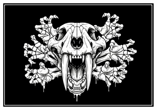sabre toothed tiger skull bones