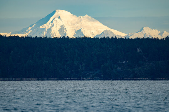 Mount Baker Looms in the Distance from San Juan Island