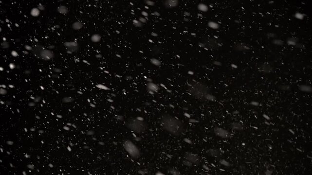 Experience the enchanting dance of snowflakes falling gracefully against a dark night sky, creating a serene yet wild atmosphere of winter's magic