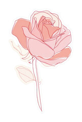 Obraz premium PNG Elegant minimalist rose illustration.