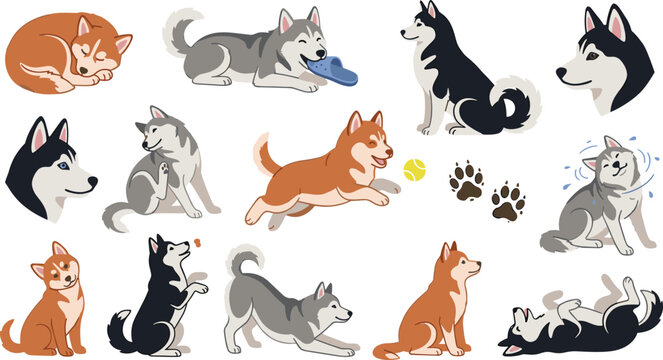 Cute Siberian Husky and Alaskan Malamute Dog Vector Character Set Featuring Playful Puppies Running Sleeping Shaking Fur and Chewing Slippers for Sticker Designs