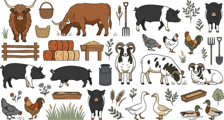 Domestic farm animals and livestock vector illustration set featuring highland cows pigs sheep chickens and geese for agricultural branding and menu design © AntarChandra