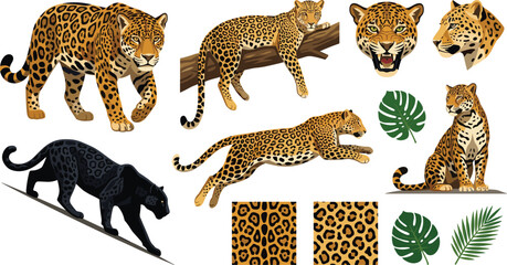 Leopard and black panther vector set featuring wild jungle cats in different poses roaring head illustrations seamless fur patterns and tropical monstera leaves © MdRobiul